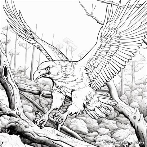 Eagle Coloring Pages for Adults - Free & Printable!