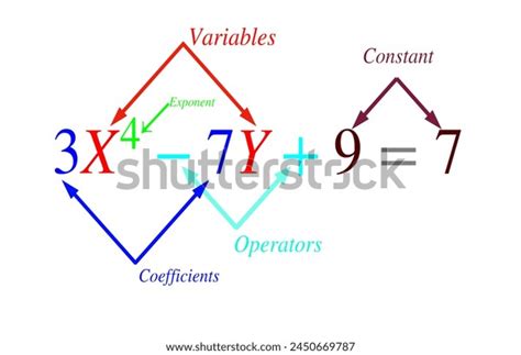Image result for Exponential Function Parts