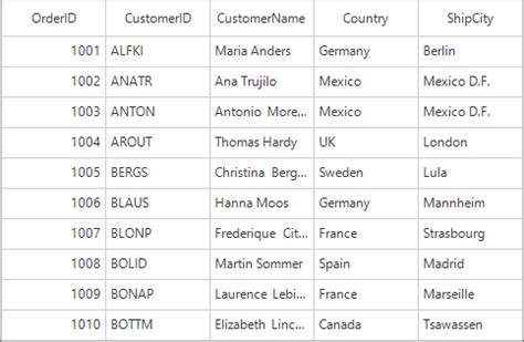 Image result for Forms DataGrid