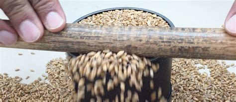 Image result for Wheat Grading Chart