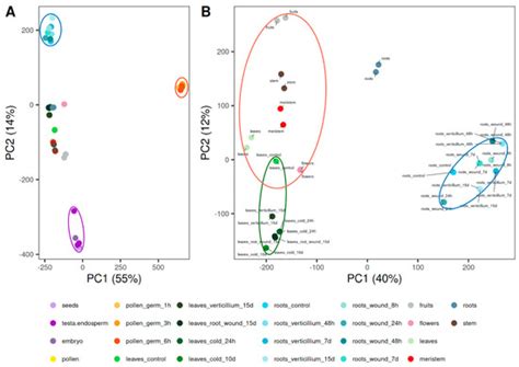 OliveAtlas: A Gene Expression Atlas Tool for Olea europaea