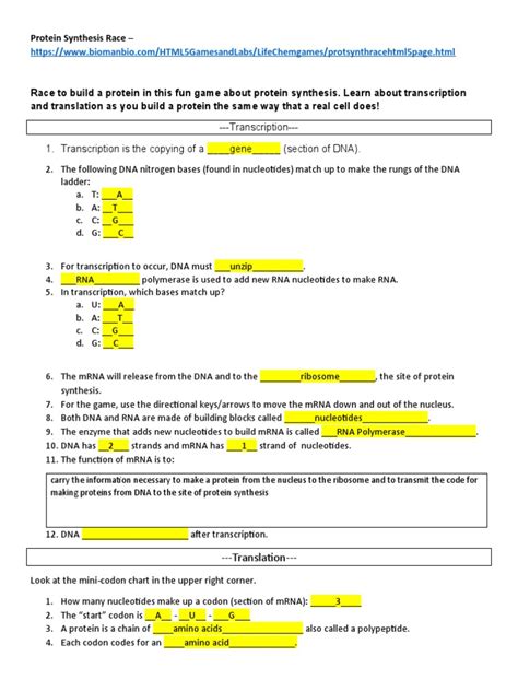 Image result for Protein Synthesis Race Answer Key