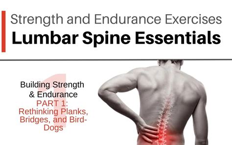 Image result for Lower Back Strength Exercises