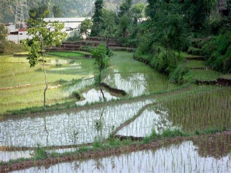 Agriculture & On-Farm Management - Projects