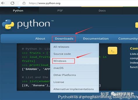 How to Install Free Python 的图像结果