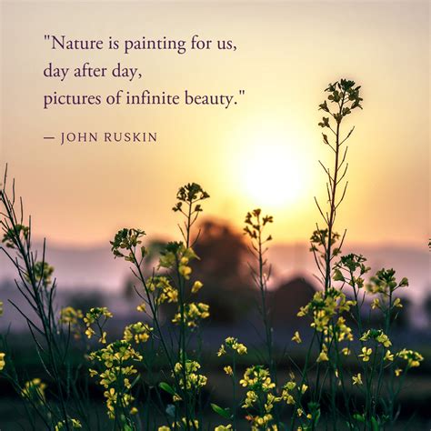 33 Aesthetic Words Related To Nature - Caca Doresde