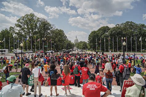 Voting Protest 的图像结果