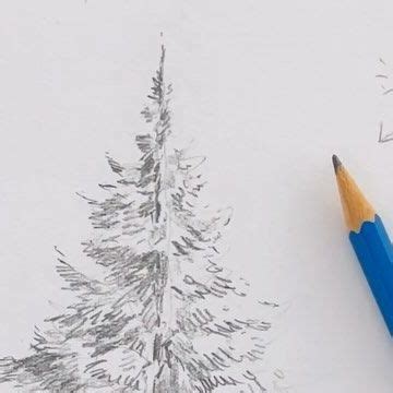 Image result for Tutorial On Creating Pine Trees