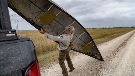 Image result for Python Elimination Program