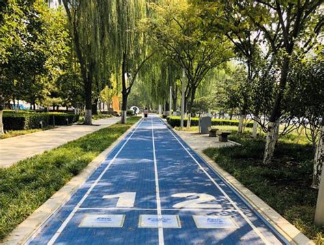 汉中首条智能步道落地天汉文化公园_北京分形科技有限公司