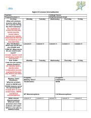 Image result for Teacher Lesson Internalization Worksheet