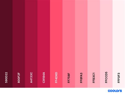 Red and Pink Color Palette for Art Projects