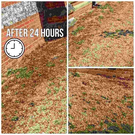 Boiling Water Weedkiller