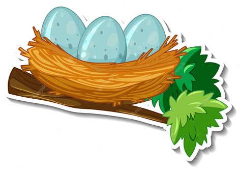 nests #3849309 | Clipart Library