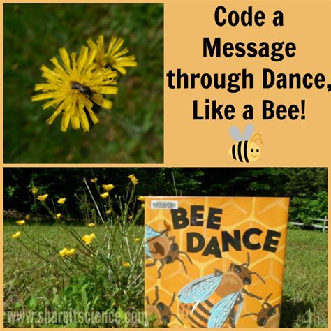 Image result for Bee Dance Language