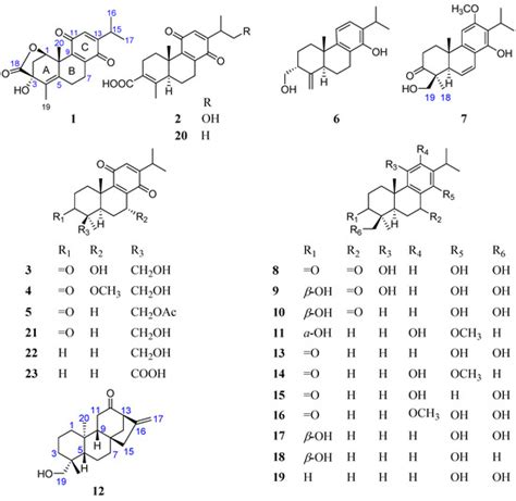 New Abietane and Kaurane Type Diterpenoids from the Stems of ...