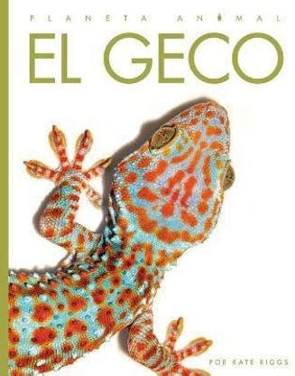 El Geco: Buy El Geco by Riggs Kate at Low Price in India | Flipkart.com