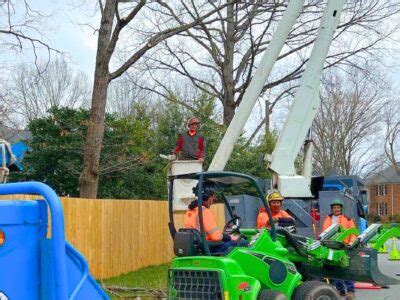 Image result for Remote Control Tree Removal