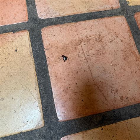 FALLING WATERS RIVER RESORT (Kernville) - Ranch Reviews & Photos ...