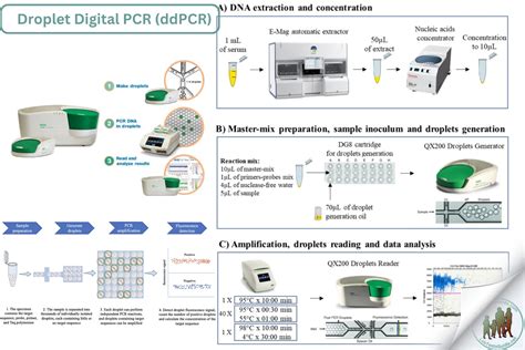 Image result for Digital PCR Tutorial