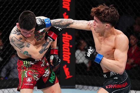 UFC Fight Night 268 Results – RingSide24