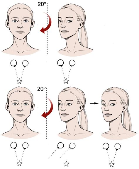 Methods for Detecting the Patient’s Pupils’ Coordinates and Head ...