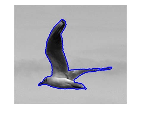 Image result for MATLAB Image Object Properties