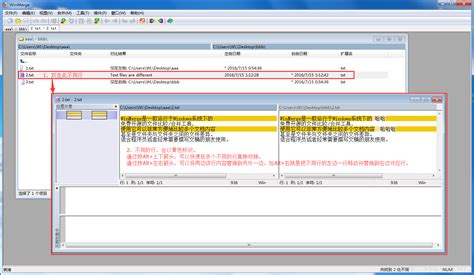 WinMerge Tutorial 的图像结果