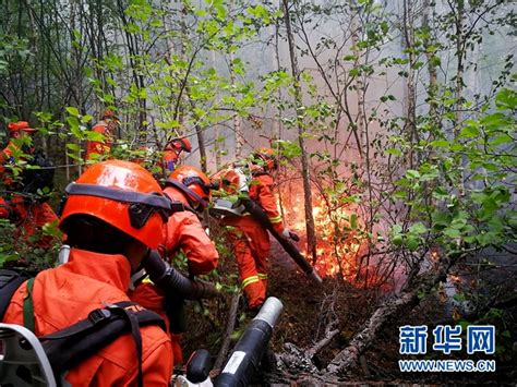 四川雅江县发生一起森林火灾|山火|救援|四川省_新浪新闻