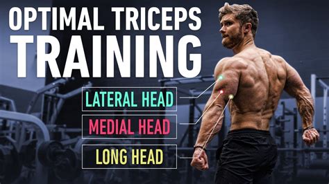 Image result for Tricep Workout Routine
