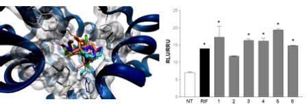 Oxygenated Polyketides from Plakinastrella mamillaris as a New ...