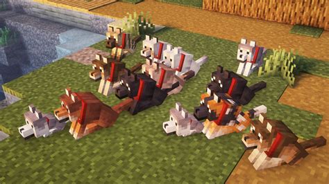How to spawn different wolves in Minecraft