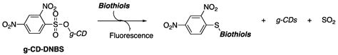 Synthesis and Crystallographic Characterization of X-Substituted 2,4 ...