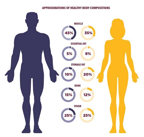 Body Composition Definition Cdc at Sarah Gooding blog