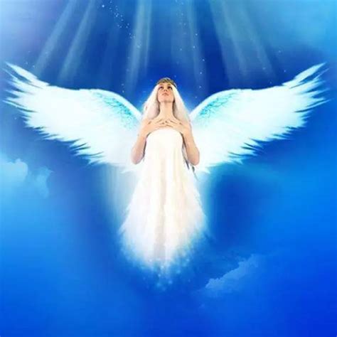 智慧 的图像结果