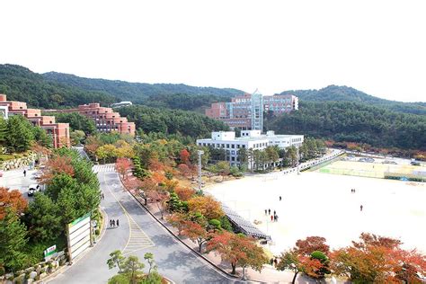 韩国新罗大学 - 唐厦教育