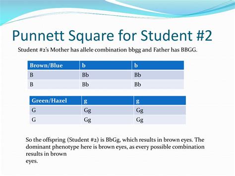 PPT - Eye Color Genetics Project PowerPoint Presentation, free download ...