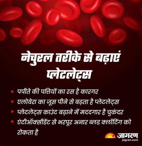 Platelets Count: एलोवेरा से लेकर अनार के जूस तक, प्लेटलेट्स काउंट तेजी ...