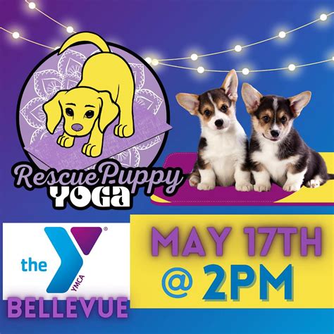 Critter Cavalry Rescue (CCR) (@crittercavalry) • Instagram photos and ...