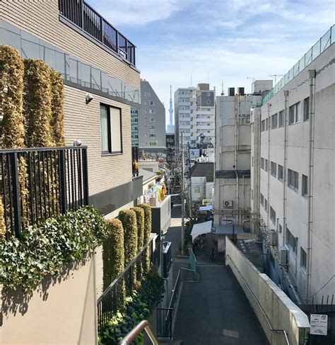 Mori Ogai Memorial Museum, Sendagi - Tripadvisor