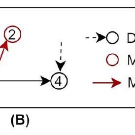 Image result for Control Theory Framework