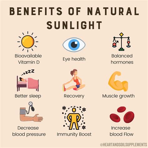 Health benefits of ginkgo biloba – Artofit