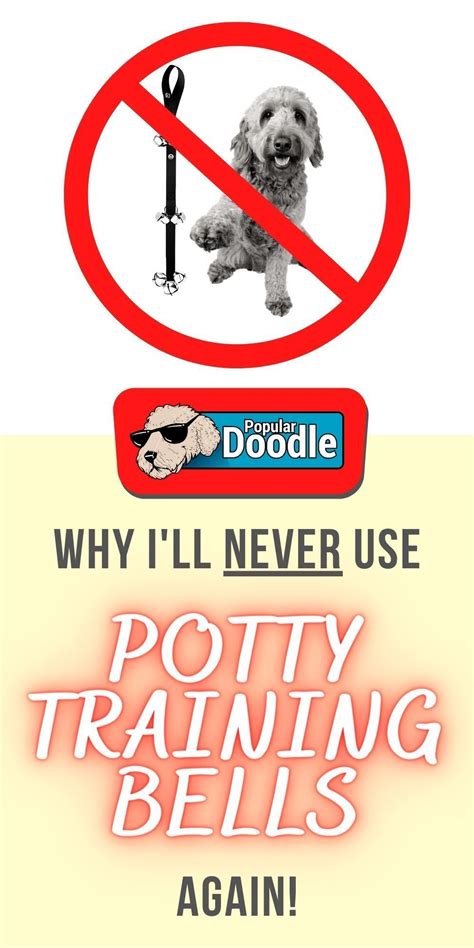 potty training a puppy 4 months old