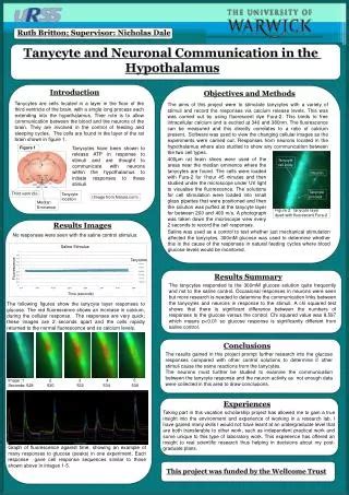 Image result for Lightning Protection Testing Methods