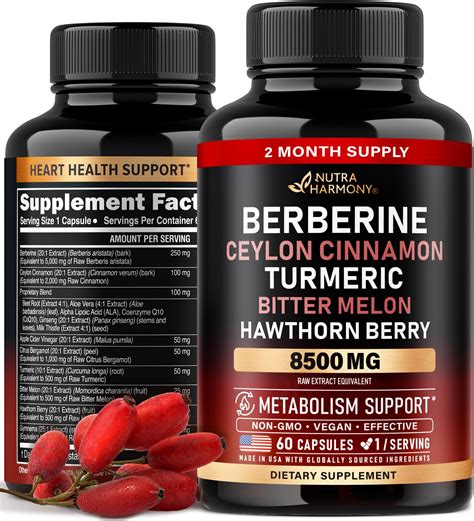 Amazon.com: Highland Health Foods Berberine 1200mg with Ceylon Cinnamon ...
