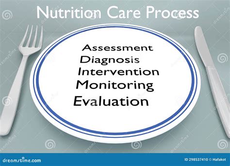 Nutrition Care Process Concet Stock Illustration - Illustration of ...
