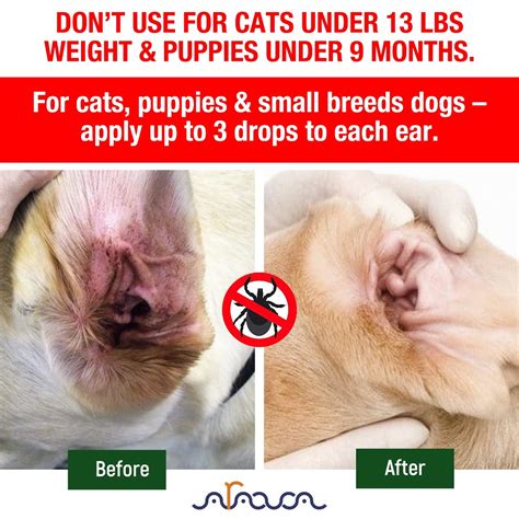 Ear Mite PETARMOR Ear Mite & Tick Treatment For Dogs, 3 Oz, 3 Fluid