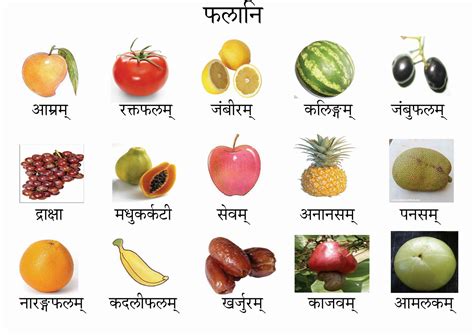 संस्कृतसंजीवनी: FRUITS NAMES IN SANSKRIT