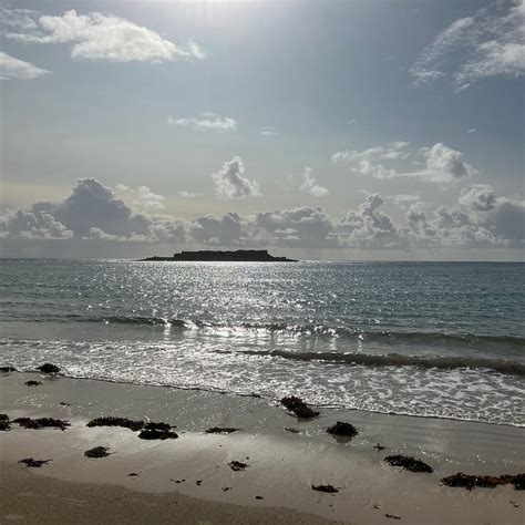 BLONDE HEDGEHOG (St Anne) - Inn Reviews, Photos, Rate Comparison ...