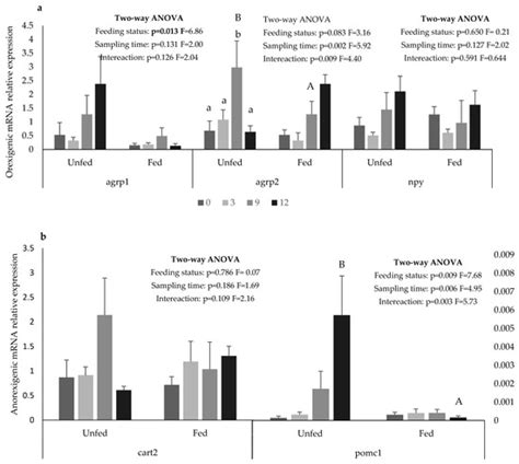 The Interplay between Central and Peripheral Systems in Feed Intake ...